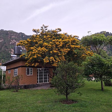 Posada Meztitla Tepoztlán Exterior foto
